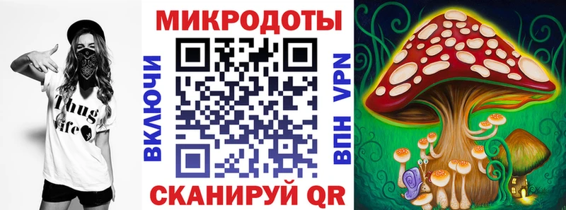 Купить закладки  Новотроицк  Галлюциногенные грибы Psilocybe 