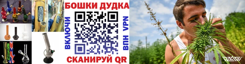 Бошки Шишки сатива Новотроицк