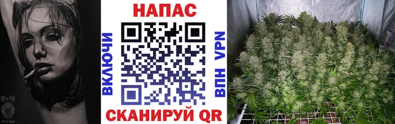 Каннабис LSD WEED  Купить закладки  Новотроицк 